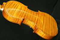 ForestViolin工房ClassA1/2サイズバイオリン（ケース付き弓無し）