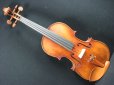画像2: Ma Zhibin工房 マスターメイド・バイオリン ストラディバリ「Dolphin」フィニッシュコピー (2)