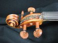 画像11: Ma Zhibin工房 マスターメイド・バイオリン ストラディバリ「Dolphin」フィニッシュコピー (11)