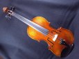 画像2: Ma Zhibin工房スーパーファインレベル・ストラディバリ・バイオリン・ワンピースバック (2)