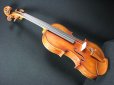 画像14: Ma Zhibin工房 マスターメイド・バイオリン ストラディバリ「Dolphin」フィニッシュコピー (14)