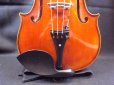 画像5: カローラヘンデル工房 ストラドモデルバイオリン ドイツ製  Carola Hendel violin Stradivari Model #201a (5)