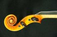 画像10: クラウス・ヘフラー工房 ＃６００ バイオリン ドイツ製  Klaus Heffler #600 Violin Germany (10)