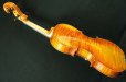 画像12: クラウス・ヘフラー工房 ＃６００ バイオリン ドイツ製  Klaus Heffler #600 Violin Germany (12)