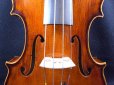 画像4: カローラヘンデル工房 ガルネリモデルバイオリン ドイツ製  Carola Hendel violin Gurneri Model #201a (4)