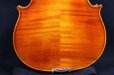 画像9: クラウス・ヘフラー工房 ＃５００ バイオリン ドイツ製  Klaus Heffler #500 Violin Germany (9)