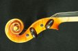 画像10: クラウス・ヘフラー工房 ＃７０２ バイオリン ドイツ製  Klaus Heffler #702 Violin Germany (10)