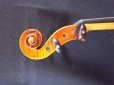 画像10: カローラヘンデル工房 ストラドモデルバイオリン ドイツ製  Carola Hendel violin Stradivari Model #201a (10)