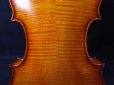 画像8: カローラヘンデル工房 ガルネリモデルバイオリン ドイツ製  Carola Hendel violin Gurneri Model #202 (8)
