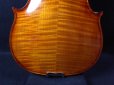 画像9: カローラヘンデル工房 ストラディバリモデルバイオリン ドイツ製  Carola Hendel violin Stradivari Model #203 (9)