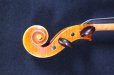 画像10: クラウス・ヘフラー工房 ＃６００ バイオリン ドイツ製  Klaus Heffler #600 Violin Germany (10)