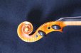 画像10: クラウス・ヘフラー工房 ＃５００ バイオリン ドイツ製  Klaus Heffler #500 Violin Germany (10)