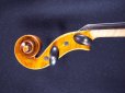 画像10: カローラヘンデル工房 ガルネリモデルバイオリン ドイツ製  Carola Hendel violin Gurneri Model #201a (10)