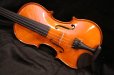 画像3: グリガ バイオリン ガマII ４／４ Gliga Violin Gama II ルーマニア製 (3)