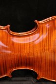 画像7: グリガ バイオリン ガマII ４／４ Gliga Violin Gama II ルーマニア製 (7)