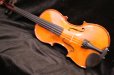 画像4: グリガ バイオリン ガマII ４／４ Gliga Violin Gama II ルーマニア製 (4)
