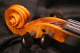 画像12: グリガ バイオリン ゲムス４／４ Gliga Violin Gems ルーマニア製 (12)