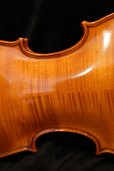 画像7: グリガ バイオリン ゲムス４／４ Gliga Violin Gems ルーマニア製 (7)
