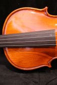 画像9: グリガ バイオリン ガマI ４／４ Gliga Violin Gama I ルーマニア製 (9)