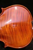 画像8: グリガ バイオリン ガマI ４／４ Gliga Violin Gama I ルーマニア製 (8)