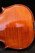 画像7: グリガ バイオリン ガマII ４／４ Gliga Violin Gama II ルーマニア製 (7)