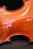 画像6: グリガ バイオリン ガマII ４／４ Gliga Violin Gama II ルーマニア製 (6)