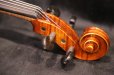 画像15: グリガ バイオリン ガマI ４／４ Gliga Violin Gama I ルーマニア製 (15)
