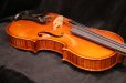 画像13: グリガ バイオリン ガマI ４／４ Gliga Violin Gama I ルーマニア製 (13)