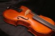画像14: グリガ バイオリン ガマII ４／４ Gliga Violin Gama II ルーマニア製 (14)