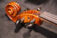 画像12: グリガ バイオリン ガマI ４／４ Gliga Violin Gama I ルーマニア製 (12)