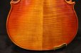 画像7: アイリッシュ・フィドル ＭａＺｈｉｂｉｎ工房 本場アイルランドの音色の再現！ (7)