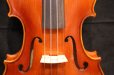 画像13: アイリッシュ・フィドル ＭａＺｈｉｂｉｎ工房 本場アイルランドの音色の再現！ (13)