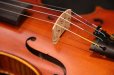 画像15: アイリッシュ・フィドル ＭａＺｈｉｂｉｎ工房 本場アイルランドの音色の再現！ (15)