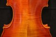 画像6: アイリッシュ・フィドル ＭａＺｈｉｂｉｎ工房 本場アイルランドの音色の再現！ (6)