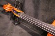 画像10: アイリッシュ・フィドル ＭａＺｈｉｂｉｎ工房 本場アイルランドの音色の再現！ (10)
