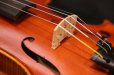 画像15: アイリッシュ・フィドル ＭａＺｈｉｂｉｎ工房 本場アイルランドの音色の再現！ (15)