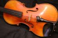 画像8: アイリッシュ・フィドル ＭａＺｈｉｂｉｎ工房 本場アイルランドの音色の再現！ (8)