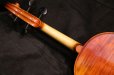 画像3: アイリッシュ・フィドル ＭａＺｈｉｂｉｎ工房 本場アイルランドの音色の再現！ (3)