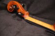 画像25: Ma工房 左利き用・バイオリン・ファインレベル２ピースバック Lefty Violin (25)