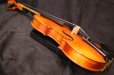 画像21: Ma工房 左利き用・バイオリン・ファインレベル２ピースバック Lefty Violin (21)