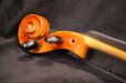 画像19: Ma工房 左利き用・バイオリン・ファインレベルワンピースバック Lefty Violin (19)