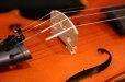 画像15: Ma工房 左利き用・バイオリン・ファインレベル２ピースバック Lefty Violin (15)