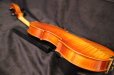 画像25: Ma工房 左利き用・バイオリン・ファインレベル２ピースバック Lefty Violin (25)