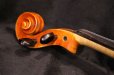 画像23: Ma工房 左利き用・バイオリン・ファインレベル２ピースバック Lefty Violin (23)