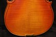 画像7: Ma工房 左利き用・バイオリン・ファインレベル２ピースバック Lefty Violin (7)