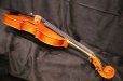 画像18: Ma工房 左利き用・バイオリン・ファインレベル２ピースバック Lefty Violin (18)