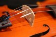 画像15: Ma工房 左利き用・バイオリン・ファインレベルワンピースバック Lefty Violin (15)