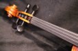 画像10: Ma工房 左利き用・バイオリン・ファインレベル２ピースバック Lefty Violin (10)
