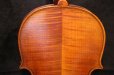 画像5: Ma工房 左利き用・バイオリン・ファインレベル２ピースバック Lefty Violin (5)