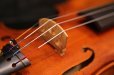 画像12: Ma工房 左利き用・バイオリン・ファインレベル２ピースバック Lefty Violin (12)